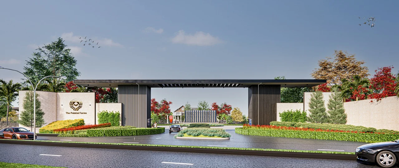 WhatsApp-Image-2025-07-12-at-14.26.57_d30af5be